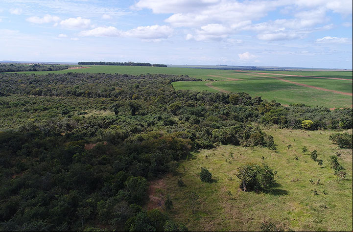 INPE conclui que desmatamento do cerrado é de 25,29%