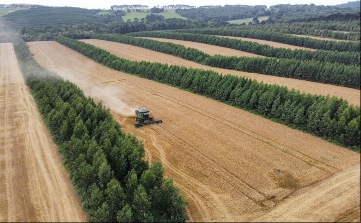 Fazenda de Tibagi, produz cerveja, carne e lenha no mesmo espaço