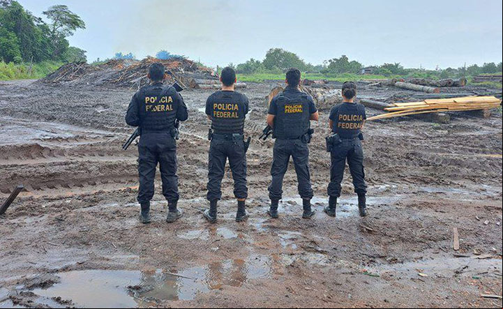 Polícia Federal apreende 497,46 m3 de madeira ilegal no Pará