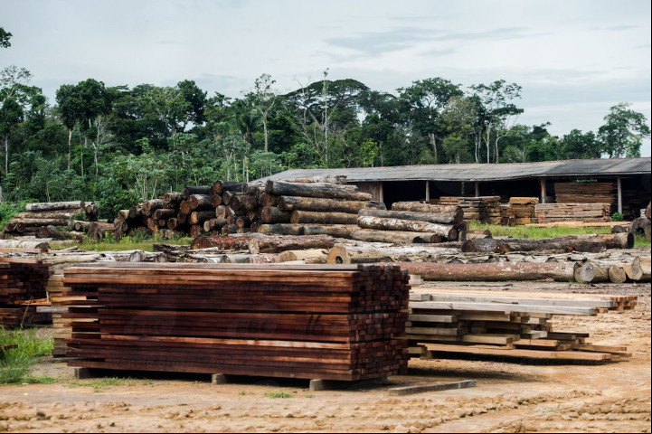Serrarias do Brasil empregam 200 mil, mas tem máquinário obsoleto