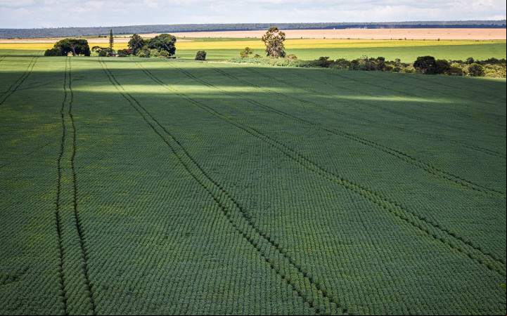 Produtores levantam propostas para o Plano Agrícola e Pecuário 2025/2026