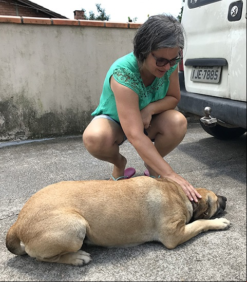 Suzy, a cadela que trocou de dono por mais carinho