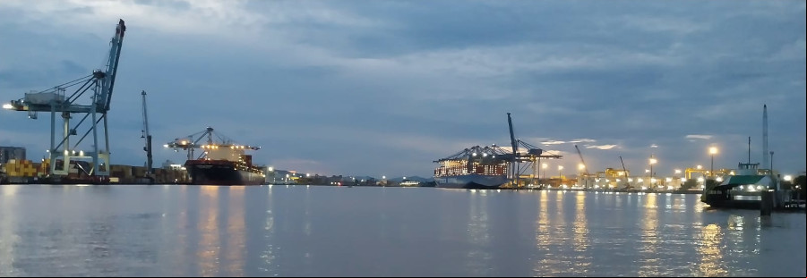 Licença ambiental melhora atividades no Porto de Itajaí em Santa Catarina