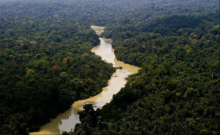 Créditos de carbono ganham força com nova lei no Brasil