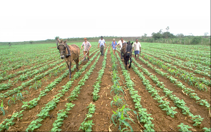Trabalhadores rurais ganham programa Saúde no Campo: SENAR